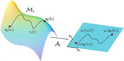 Aging in a Relativistic Biological Space-Time